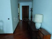 Appartamento in affitto a Treviso via Calmaggiore,...