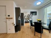 Appartamento in affitto a Trieste TS