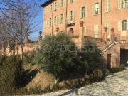 Appartamento in affitto a Trofarello via Antonio...