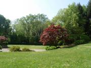 Appartamento in affitto a Varese via Fabio Filzi, 22,...