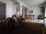 Appartamento in affitto a Venezia VE