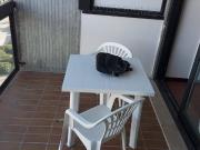 Appartamento in affitto a Verona