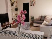 Appartamento in affitto a Verona VR