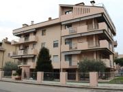 Appartamento in affitto a Verona VR