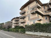 Appartamento in affitto a Verona VR