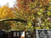 Appartamento in affitto a Verona VR