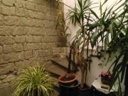 Appartamento in affitto a Viterbo via Santa Rosa,...