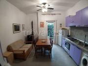 Appartamento in affitto ad Anzio, arredato, giardino...