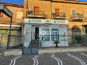 Appartamento in affitto ad Arzano via Bologna, 21, non...
