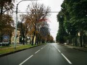 Appartamento in Affitto Bologna 31831023 125 | RE/MAX Italia
