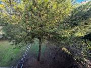 Appartamento in affitto di 100 m² in Via del Santuario, 108