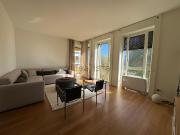 Appartamento in affitto di 100 m² in Viale Elvezia