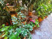 Appartamento in affitto di 100 m² in Viale Monte Nero