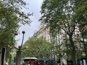 Appartamento in affitto di 115 m² in Piazza Sempione