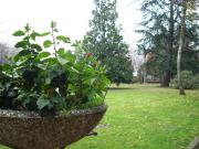 Appartamento in affitto di 115 m² in Via Enrico De Nicola