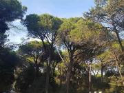 Appartamento in affitto di 120 m²