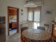 Appartamento in affitto di 120 m² in Frazione Ornano Piccolo