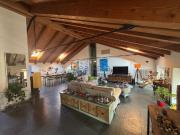 Appartamento in affitto di 135 m² in Borgo Lalatta, 4