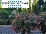 Appartamento in affitto di 155 m² in Piazzetta Arenella