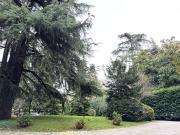 Appartamento in affitto di 160 m² in Viale Antonio...