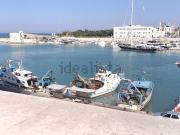 Appartamento in affitto di 171 m² in Via Ognissanti