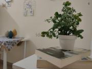 Appartamento in affitto di 18 m² in Via Rosario Gregorio