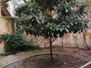 Appartamento in affitto di 200 m² in Via delle...