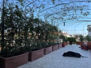 Appartamento in affitto di 250 m² in Via Goffredo Mameli