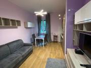 Appartamento in affitto di 33 m² in Via Curio Dentato, 11