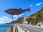 Appartamento in affitto di 35 m² in Via Aurelia, 7