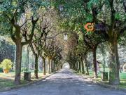 Appartamento in affitto di 35 m² in Via della...