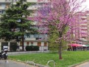 Appartamento in affitto di 40 m² in Via Alfonso...