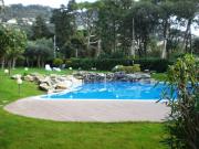 Appartamento in affitto di 40 m² in Via Eros da Ros, 8