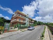 Appartamento in affitto di 40 m² in Via Ortensio, 24