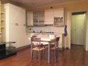 Appartamento in affitto di 42 m² in Via Bellinzona