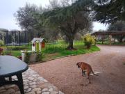 Appartamento in affitto di 45 m² in Via dei salici