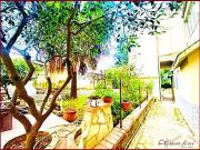 Appartamento in affitto di 45 m² in Via Germania