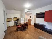 Appartamento in affitto di 47 m² in Via Bruno Cassinari, 4