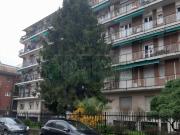 Appartamento in affitto di 48 m² in Via Cinque Maggio, 19
