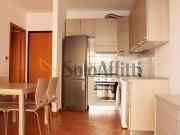 Appartamento in affitto di 48 m² in Via Francesco Gonin, 25