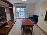 Appartamento in affitto di 48 m² in Via Vittorio Gassman, 3