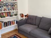 Appartamento in affitto di 50 m²