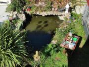 Appartamento in affitto di 50 m² in Via Camillo Guerra