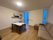 Appartamento in affitto di 53 m² in Via Maria Callas, 6