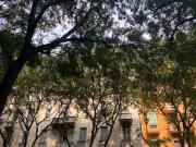 Appartamento in affitto di 53 m² in Via Teodosio