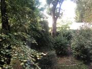 Appartamento in affitto di 55 m² in Via Broletto, 37