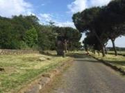 Appartamento in affitto di 60 m²