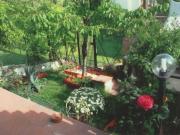 Appartamento in affitto di 60 m²