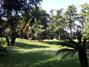 Appartamento in affitto di 60 m² in Via Massimo Meliconi