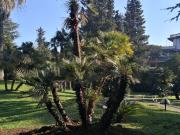 Appartamento in affitto di 60 m² in Via Massimo Meliconi